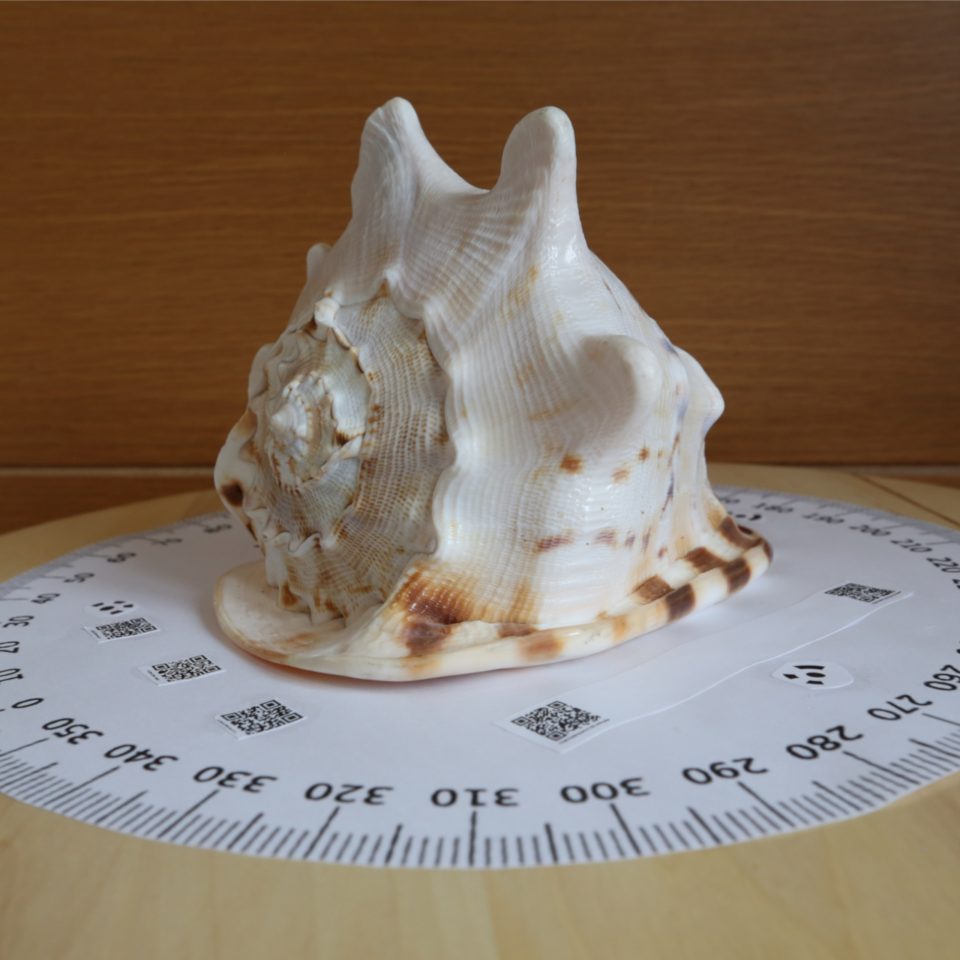 Before Image of Shell